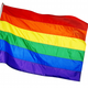 Image for article titled Record Wins For LGBT Candidates